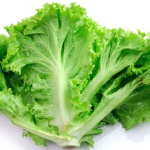 lettuce-%e0%b4%b2%e0%b5%86%e0%b4%b1%e0%b5%8d%e0%b4%b1%e0%b5%8d%e0%b4%af%e0%b5%82%e0%b4%b8%e0%b5%8d