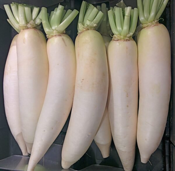 Mullankiമുള്ളങ്കി