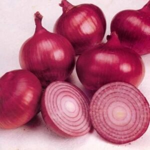 onion-%e0%b4%b8%e0%b4%b5%e0%b4%be%e0%b4%b3