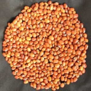 cowpea-%e0%b4%b5%e0%b5%bb%e0%b4%aa%e0%b4%af%e0%b5%bc