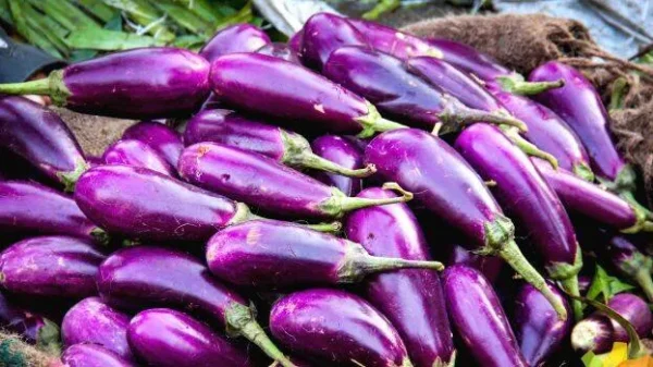 Vazhuthanaവഴുതന