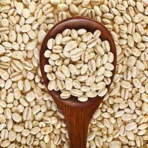 %e0%b4%ac%e0%b4%be%e0%b5%bc%e0%b4%b2%e0%b4%bf-barley