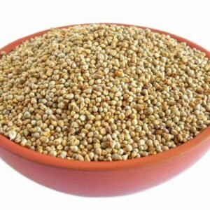 %e0%b4%95%e0%b4%ae%e0%b5%8d%e0%b4%aa%e0%b4%82-pearl-millet-bajra