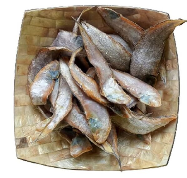 ഉണക്ക മാന്തൾ / Dried Sole Fish