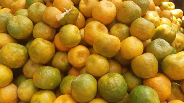 ഓറഞ്ച് / Orange